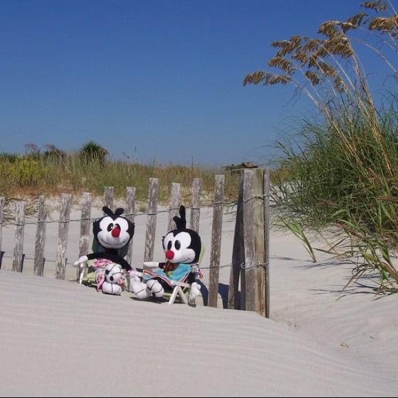 Meet your Posher, Dot! THIS LISTING NOT FOR SALE! - Picture 5 of 12